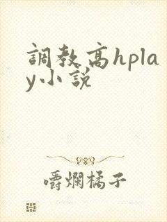 调教高hplay小说