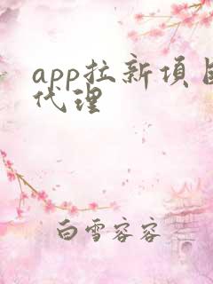 app拉新项目代理