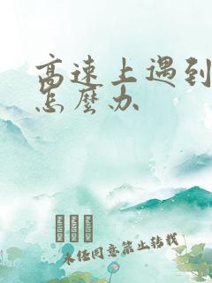 高速上遇到暴雨怎么办