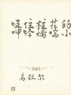 吸住校花的奶头呻吟娇喘小说