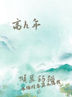 高h年