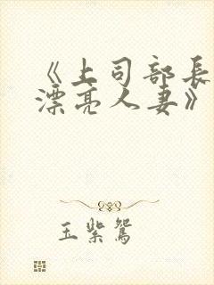 《上司部长出轨漂亮人妻》中文