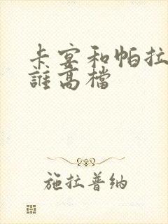 卡宴和帕拉梅拉谁高档