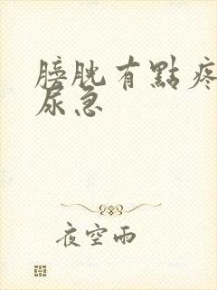 膀胱有点疼痛还尿急