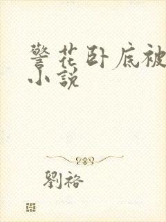 警花卧底被调教小说