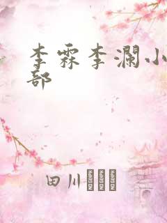 李霖李澜小说全部