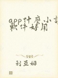 app什么小说软件好用