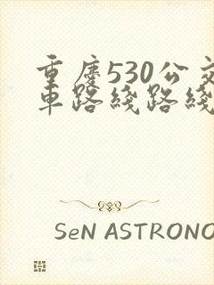 重庆530公交车路线路线图