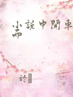 小说中开车名场面