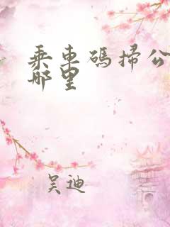 乘车码扫公交车哪里