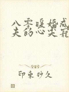 八零暖婚成为前夫的心尖宠全文阅读全文