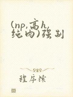 (np,高h,纯肉)强制
