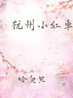 杭州小红车热线