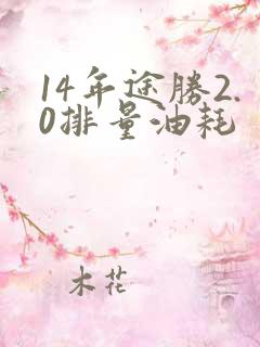 14年途胜2.0排量油耗