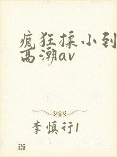 疯狂揉小到失禁高潮av