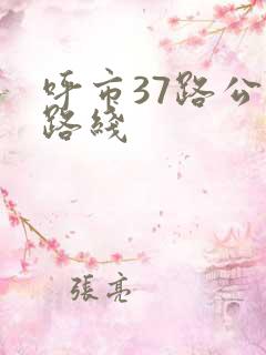 呼市37路公交路线