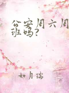 公安周六周日上班吗?