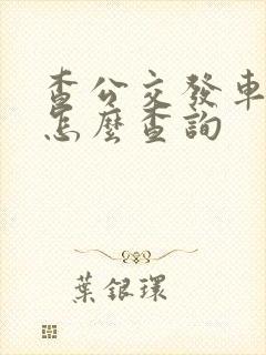查公交发车时间怎么查询 查公交发车时间怎么查询