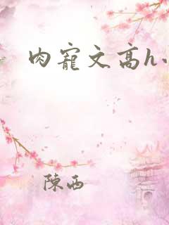 肉宠文高h小说