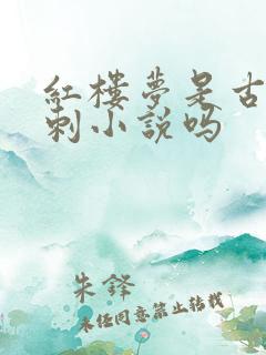 红楼梦是古典讽刺小说吗