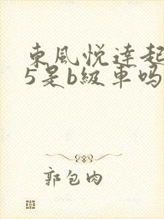 东风悦达起亚k5是b级车吗