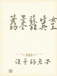 萧晨苏晴女总裁的全能兵王笔趣阁