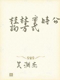 桂林实时公交查询方式