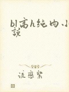 bl高h纯肉小说