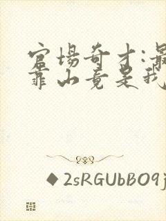 官场奇才:最强靠山竟是我自己李澜小说免