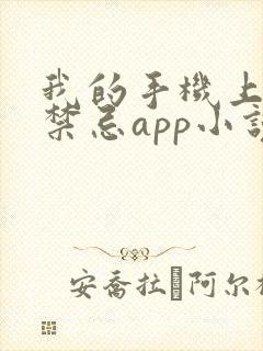 我的手机上全是禁忌app小说阅读