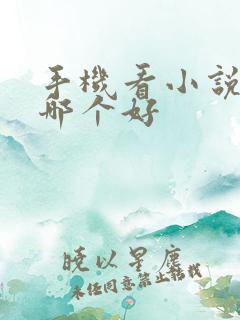 手机看小说软件哪个好