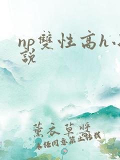 np双性高h小说 np双性高h小说
