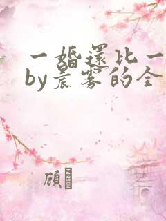 一婚还比一婚高by晨雾的全文阅读