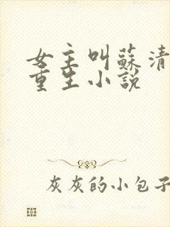 女主叫苏清欢的重生小说