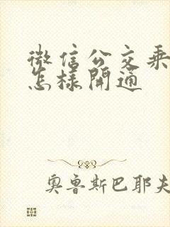 微信公交乘车码怎样开通