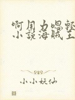 啊用力嗯轻一点小说海贼王