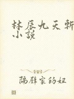 林辰九天斩神诀小说