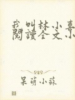 我叫林小喜免费阅读全文小说