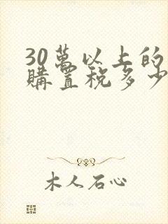 30万以上的车购置税多少