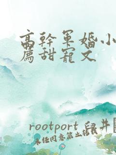 高干军婚小说推荐甜宠文