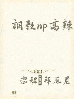 调教np高辣文