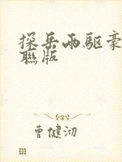 探岳两驱豪华智联版