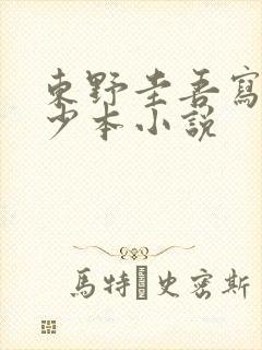 东野圭吾写了多少本小说