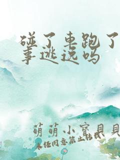 碰了车跑了算肇事逃逸吗