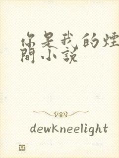 你是我的烟火人间小说