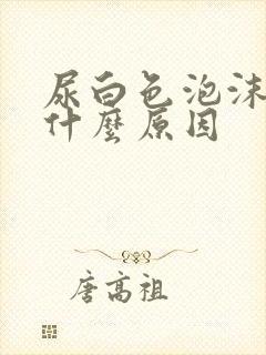 尿白色泡沫多是什么原因