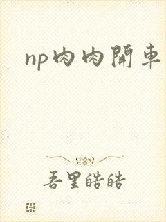 np肉肉开车文