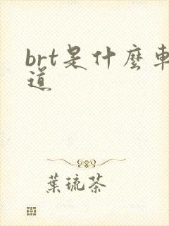 brt是什么车道 brt是什么车道