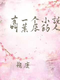 有一个小说主角叫叶辰的人