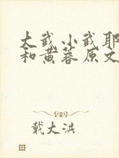 大武小武耶律齐和黄蓉原文
